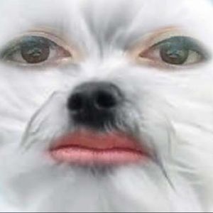 Meet your Posher, Logan